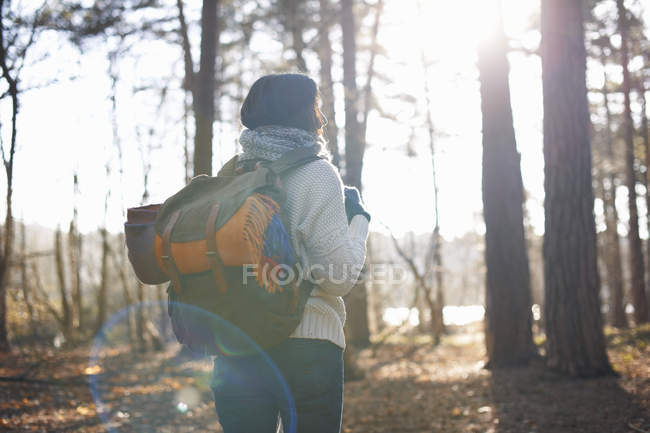 Rear view of mature woman hiking in forest — Stock Photo