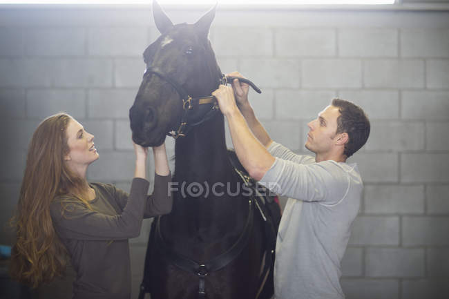 Male and female stablehands putting bridle onto horse in stables — Stock Photo