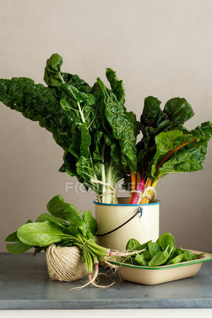 Spinach family with thread — Stock Photo