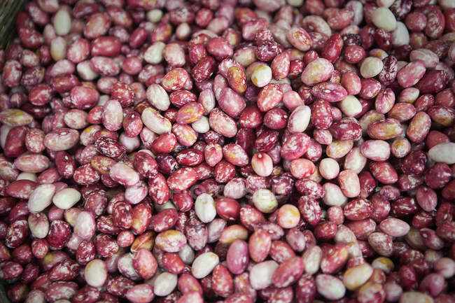 Pile de haricots frais cueillis, vue du dessus — Photo de stock
