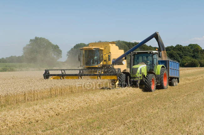 Combine harvester with tractor — Stock Photo