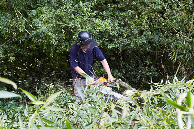 Працівник обрізає дерева в полі — стокове фото