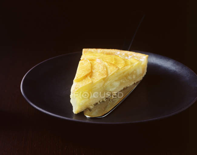 Rebanada de tarta de manzana servido en el plato - foto de stock