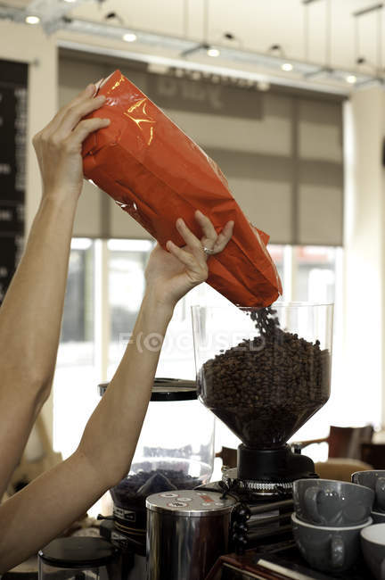 Бариста наливает кофейные зерна в кофемолку — стоковое фото