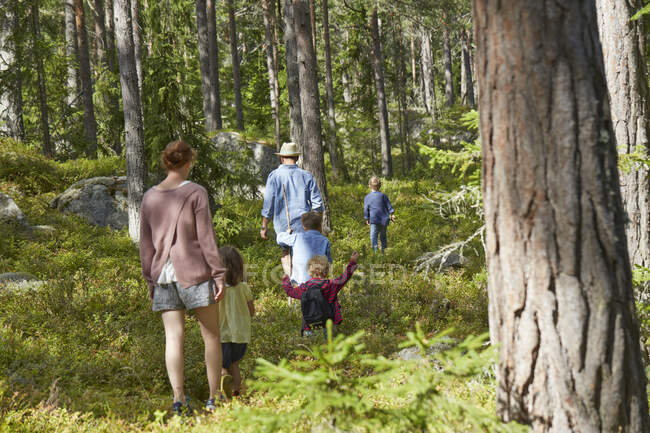 Familie spaziert durch Wald — Stockfoto