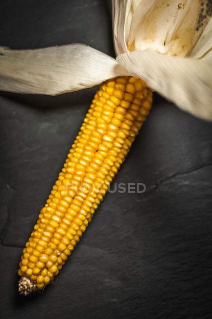 Ripe ear of corn on table, top view — Stock Photo