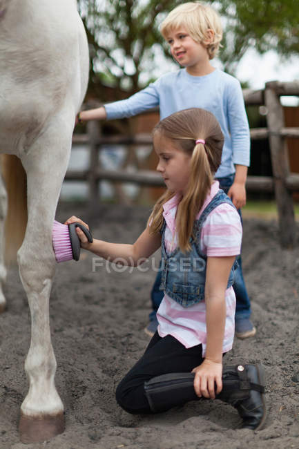 Enfants brossant le cheval, mise au point sélective — Photo de stock