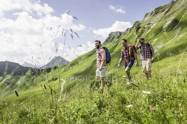 Amigos varones senderismo, Tirol, Austria - foto de stock