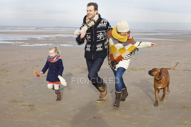 Parents adultes moyens, fille et chien courant sur la plage, Bloemendaal aan Zee, Pays-Bas — Photo de stock