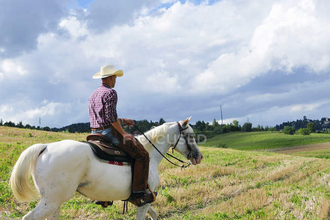 Jovem homem no cowboy engrenagem cavalo equitação no campo — Fotografia de Stock