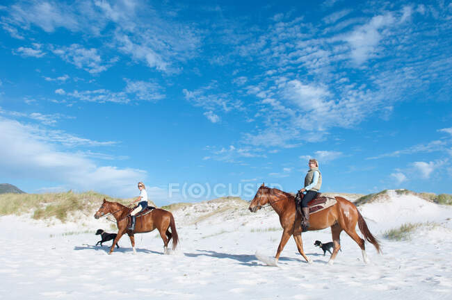 2 pessoas montando cavalos na praia — Fotografia de Stock