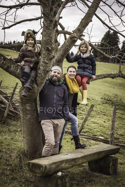 Portrait of couple with two daughters climbing bare tree — Stock Photo