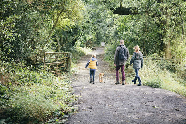 Father and two girls walking dog on rural road — Stock Photo
