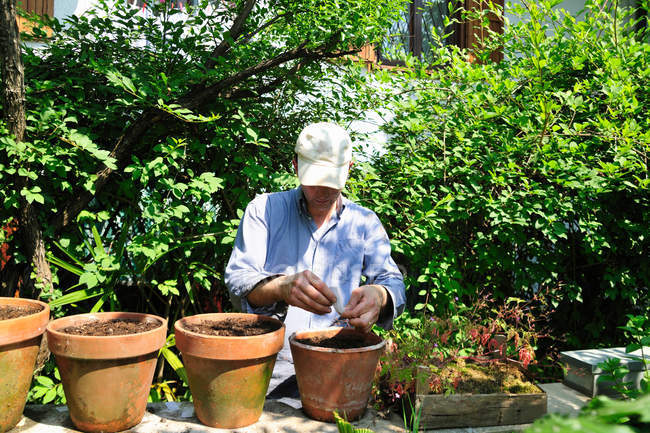 Plantas do potting do homem no quintal — Fotografia de Stock