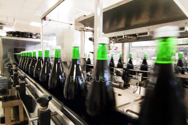 Bottling machine in wine cellar — Stock Photo