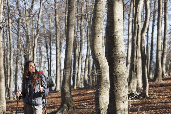Escursionista a piedi attraverso i boschi, Montseny, Barcellona, Catalogna, Spagna — Foto stock