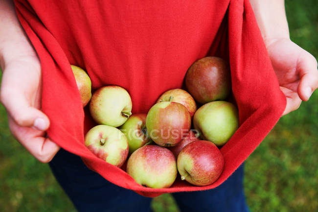 Imagen recortada de Niño llevando manzanas en camisa - foto de stock