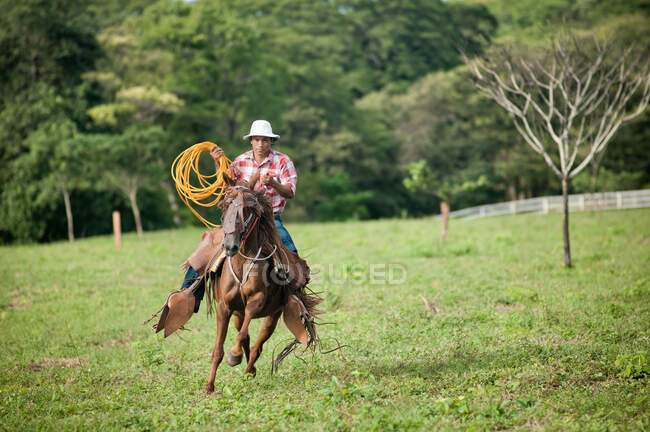 Homme avec lasso équitation cheval dans le champ — Photo de stock