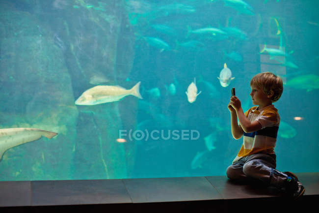 Boy taking pictures of fish in aquarium, selective focus — Stock Photo