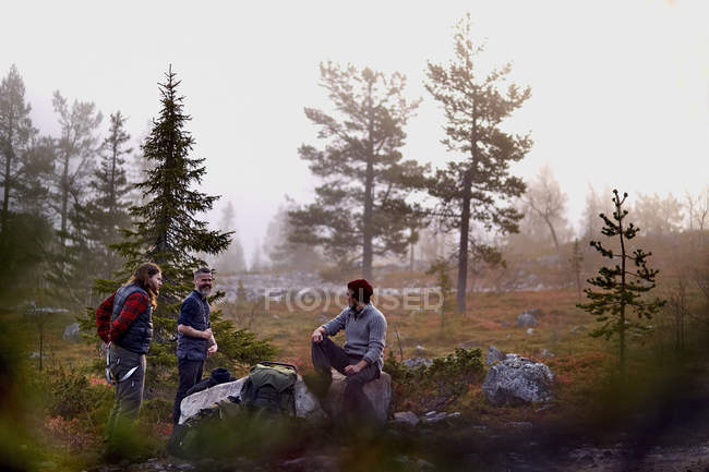 Randonneurs dans le camp parmi les arbres, Laponie, Finlande — Photo de stock