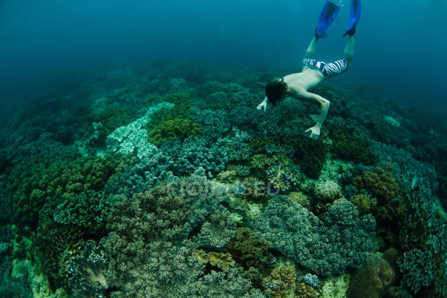 Snorkeler swimming in coral reef — Stock Photo