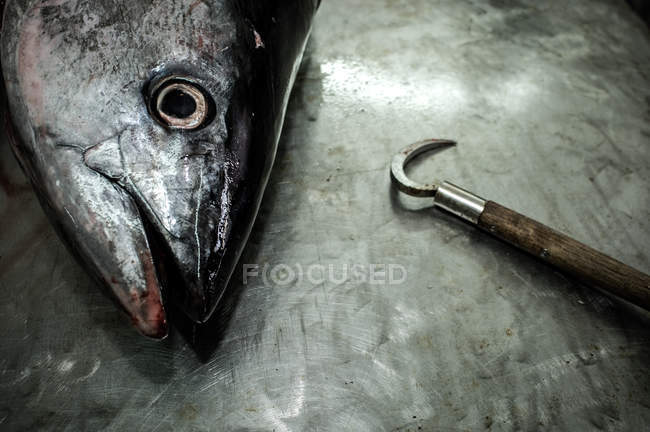Raw fish and hook — Stock Photo