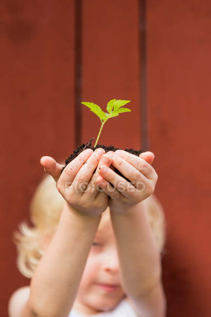 Girl holding seedling outdoors — Stock Photo
