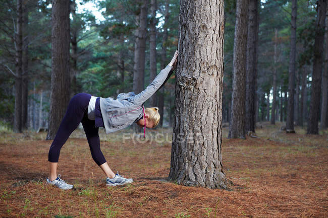 Runner stretching at tree in forest — Stock Photo