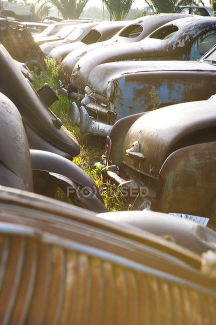 Vintage cars abandoned in scrap yard — Stock Photo