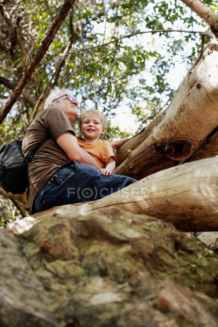 Father and son sitting up in a tree — Stock Photo