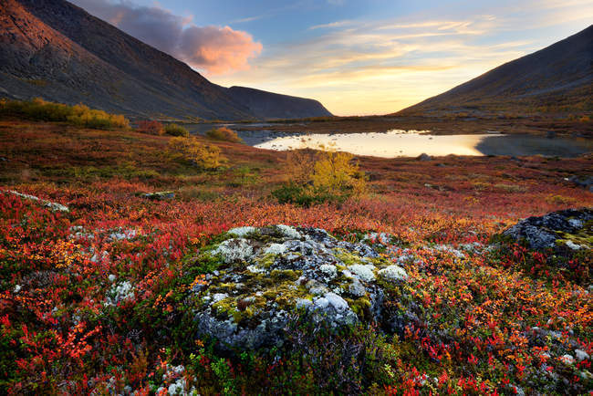 Осінні кольори в долині річки Мала біла в сутінки, Khibiny гори, Кольський півострів, Росія — стокове фото