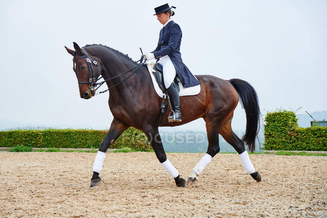 Feminino cavaleiro trotting enquanto formação dressage cavalo no equestre arena — Fotografia de Stock