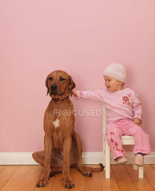 Female toddler stroking dog — Stock Photo
