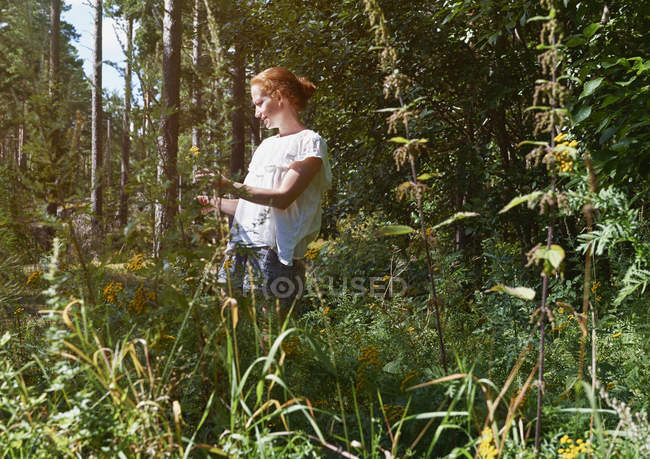 Femme debout dans la forêt, regardant les plantes — Photo de stock