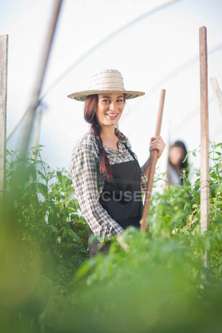 Mujer joven trabajando en invernadero vegetal - foto de stock