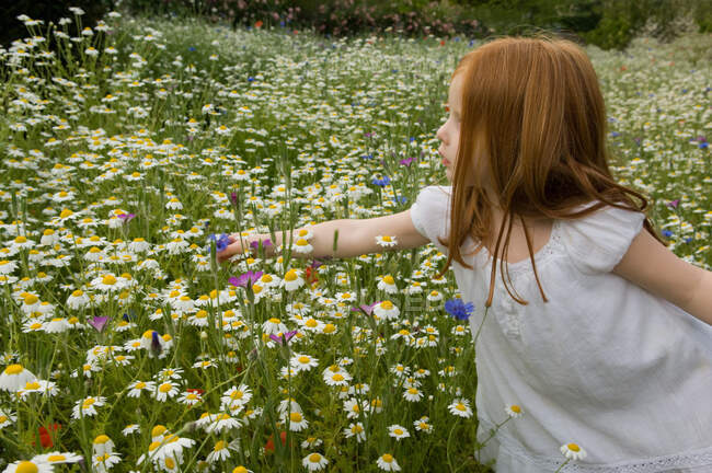 Mädchen pflückt Blumen auf Feld — Stockfoto