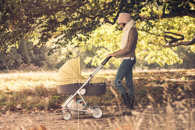 Mãe andando bebê no carrinho na floresta — Fotografia de Stock