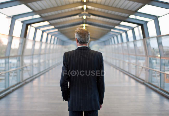 Вид сзади бизнесмена, стоящего на мосту — стоковое фото