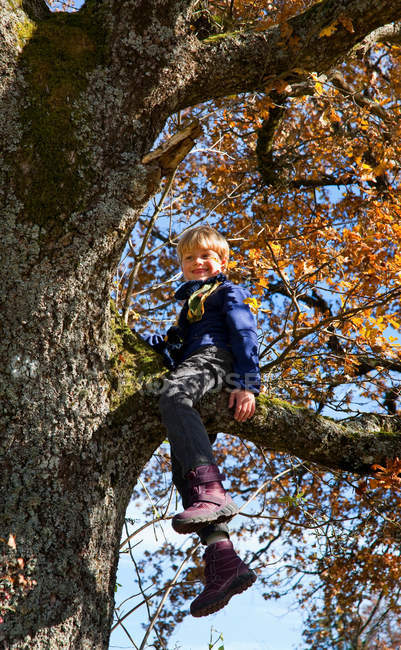 Menino brincando na árvore, foco em primeiro plano — Fotografia de Stock