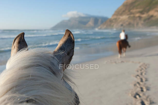 Cheval à fourrure blanche à cheval sur la plage — Photo de stock