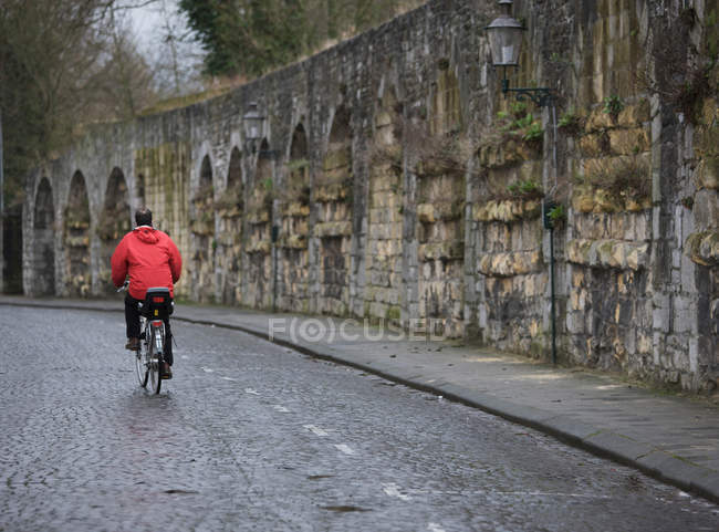 Rear view of man riding on bicycle — Stock Photo