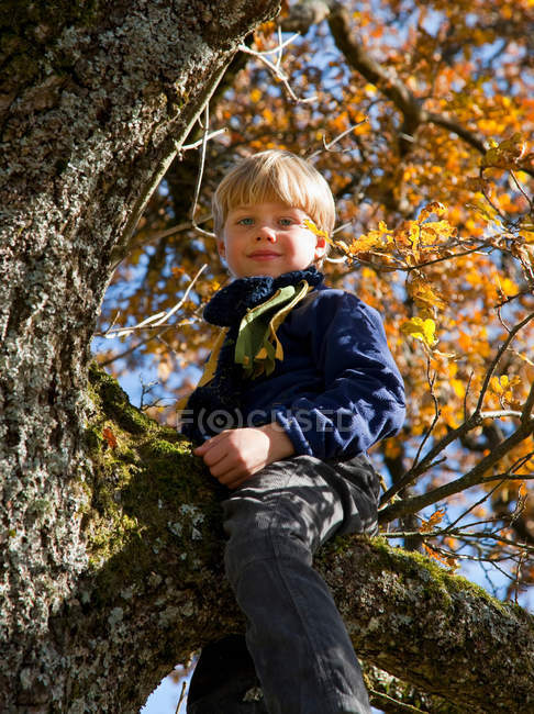 Menino brincando na árvore, foco seletivo — Fotografia de Stock
