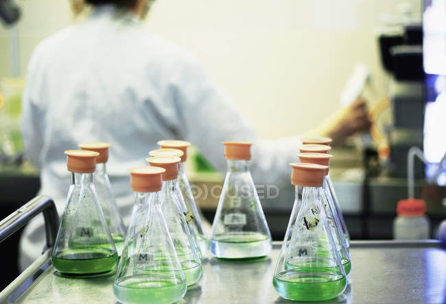 Tubos de ensaio de culturas vegetais em laboratório com pessoa ao fundo — Fotografia de Stock