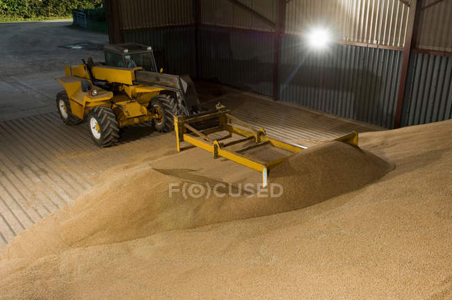 Empilhadeira empurrando grãos na loja — Fotografia de Stock
