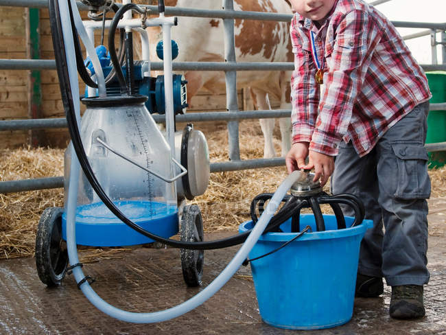 Boy cleaning milking equipment in barn — Stock Photo