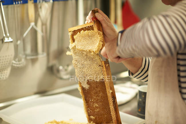 Imagen recortada del apicultor hembra raspando panal en la cocina - foto de stock