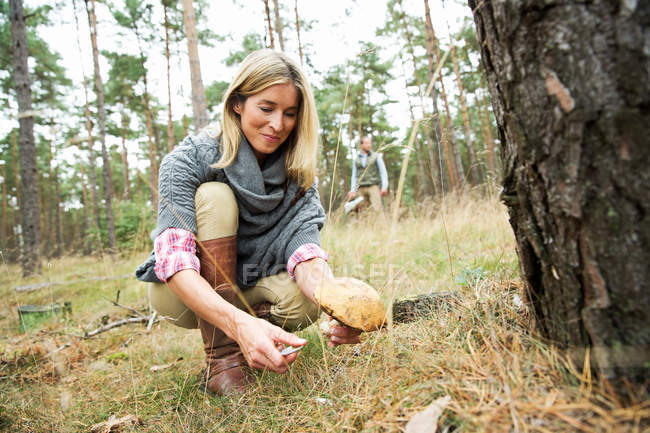 Mulher adulta intermediária que forrageia para cogumelos — Fotografia de Stock