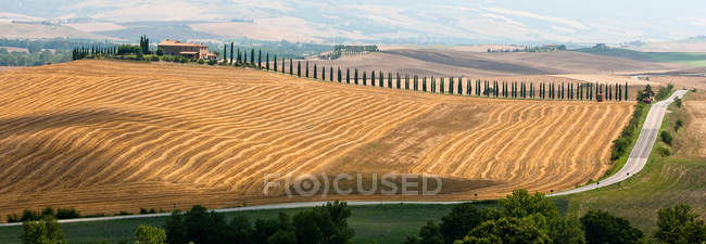 Aerial view of rural road and crop fields — Stock Photo