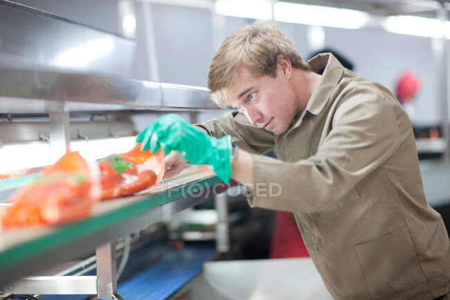 Giovane uomo che riempie i sacchetti di patate — Foto stock