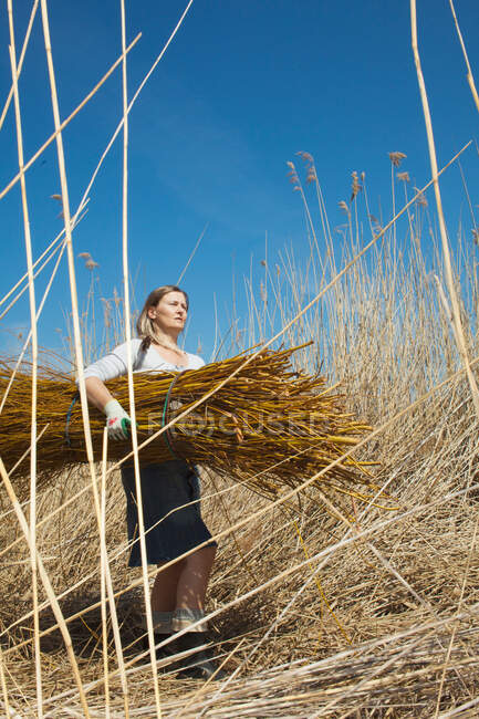 Femme portant une pile de foin dans le champ — Photo de stock